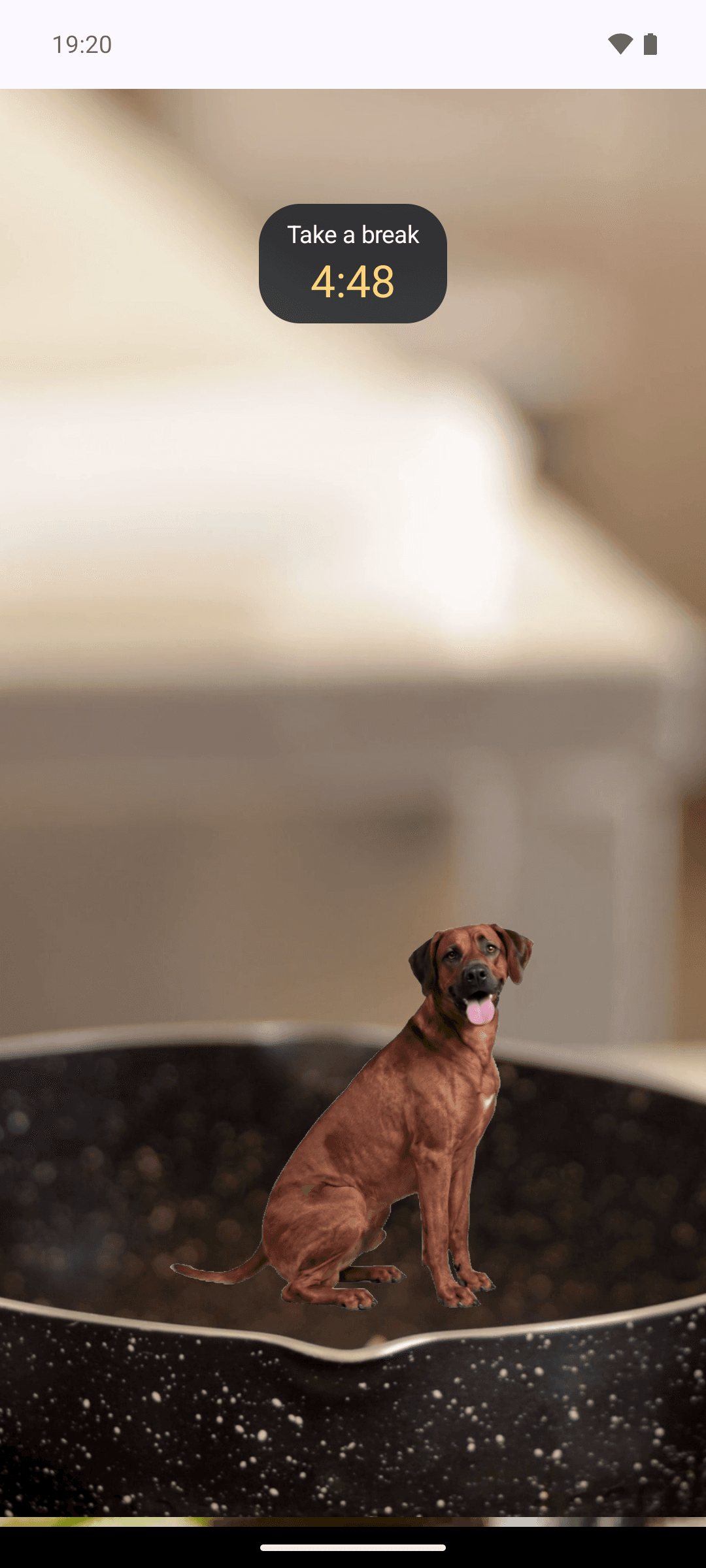 Curtail screenshot: Tango the Ridgeback sitting mid-screen on a cooking video, tongue out, facing the viewer under a countdown pill showing 4:48