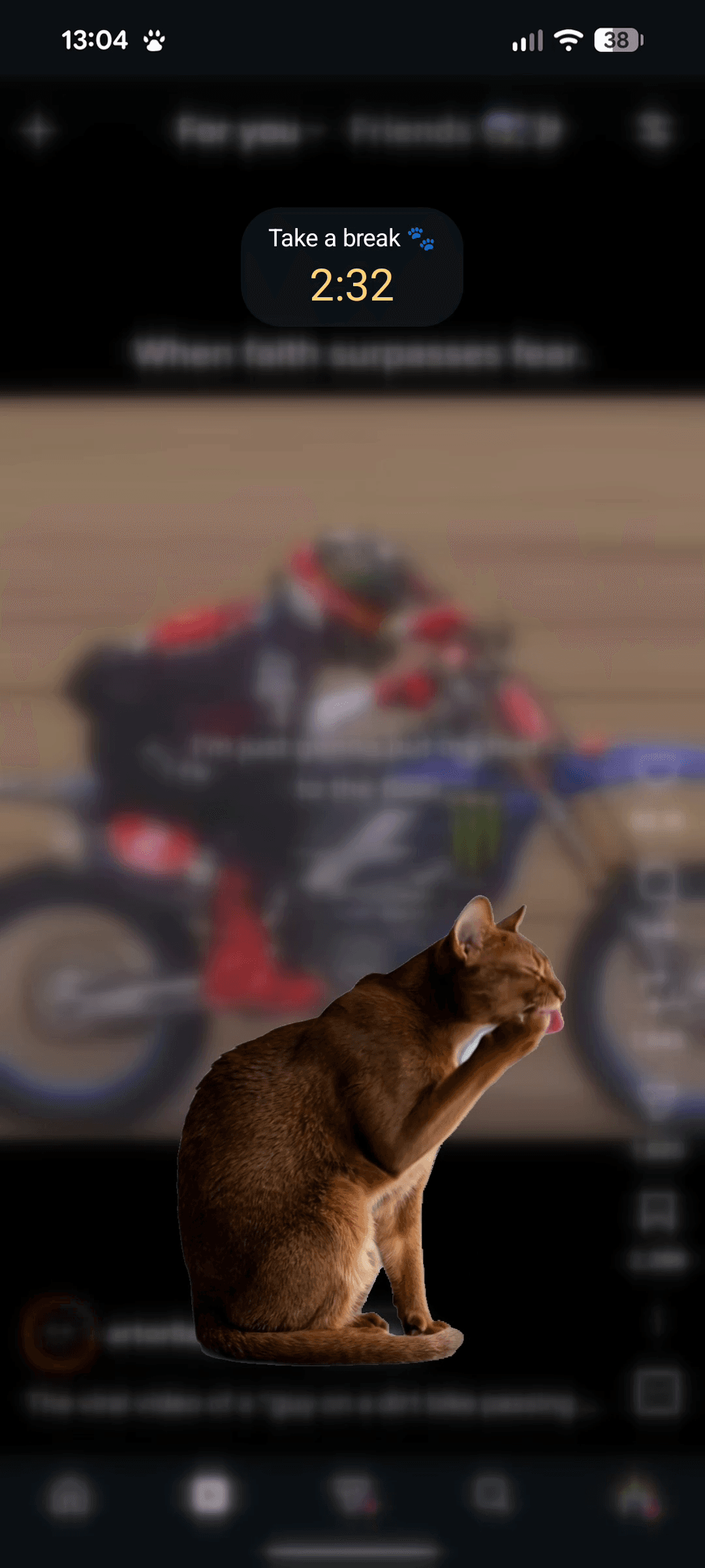 Curtail screenshot: Cash grooming a raised paw while sitting on a blurred Instagram reel, countdown pill showing 2:32